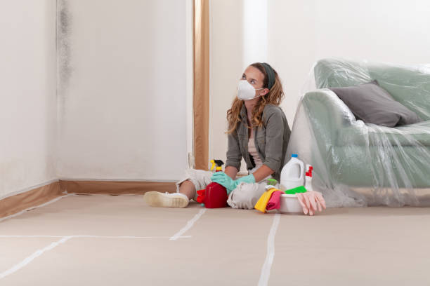 Trusted Black Mold Removal service in Gasburg, VA - Cheap Mold Removal
